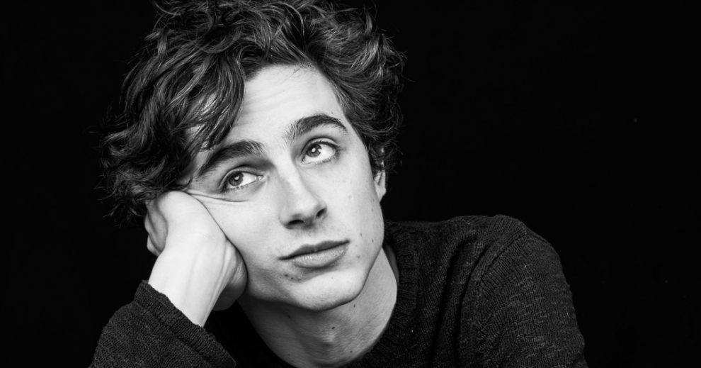 Тима шаломе. Тимоти Шаламе. Тимоти Шаламе чб. Тимоти Шаламе коллаж. Timothée Chalamet чб.