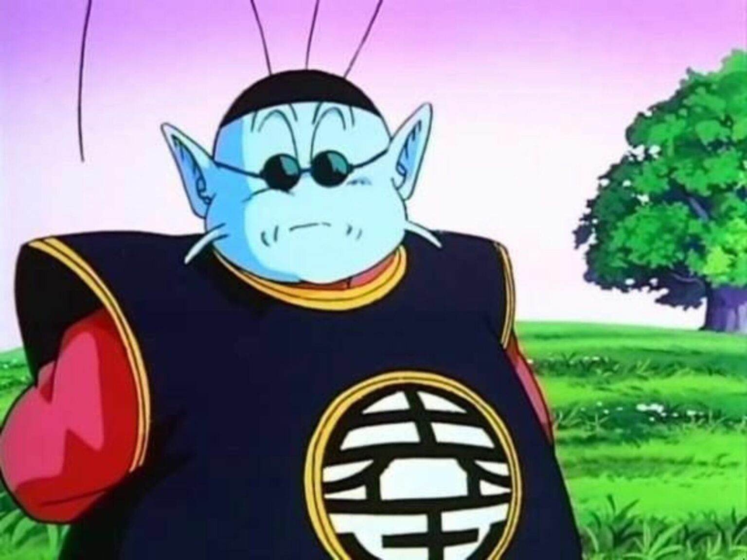 Королем каем. King Kai. Dragon Ball Мистер попо.