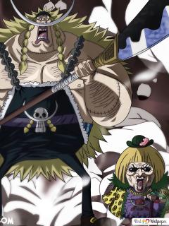 one piece edward weevil miss bakkin behang