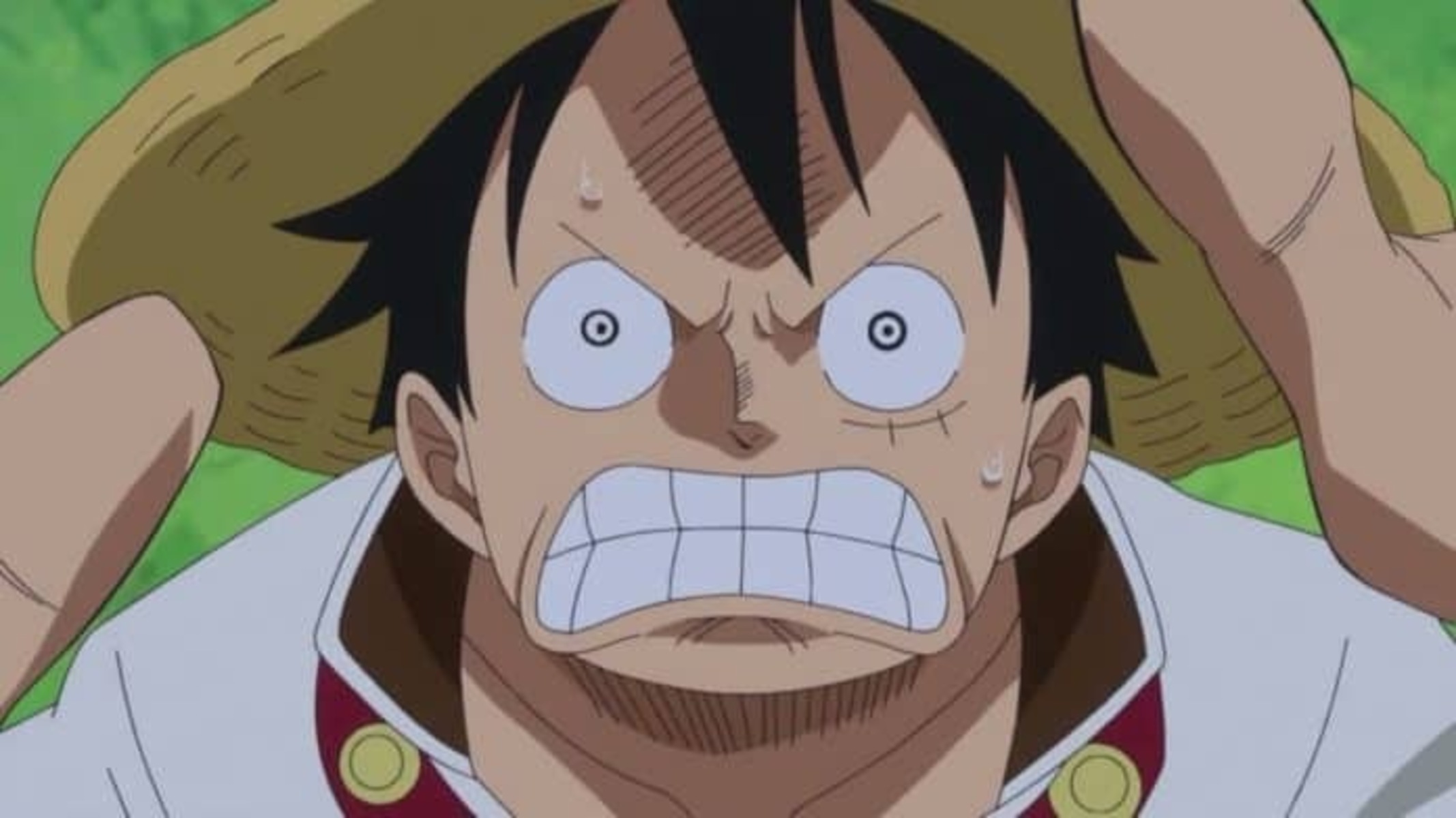 one piece just brought back spoiler and fans are