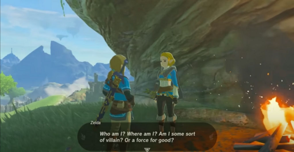 la principessa Zelda???