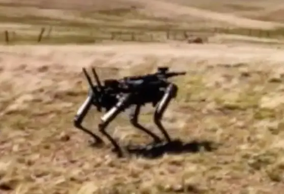 cani robot