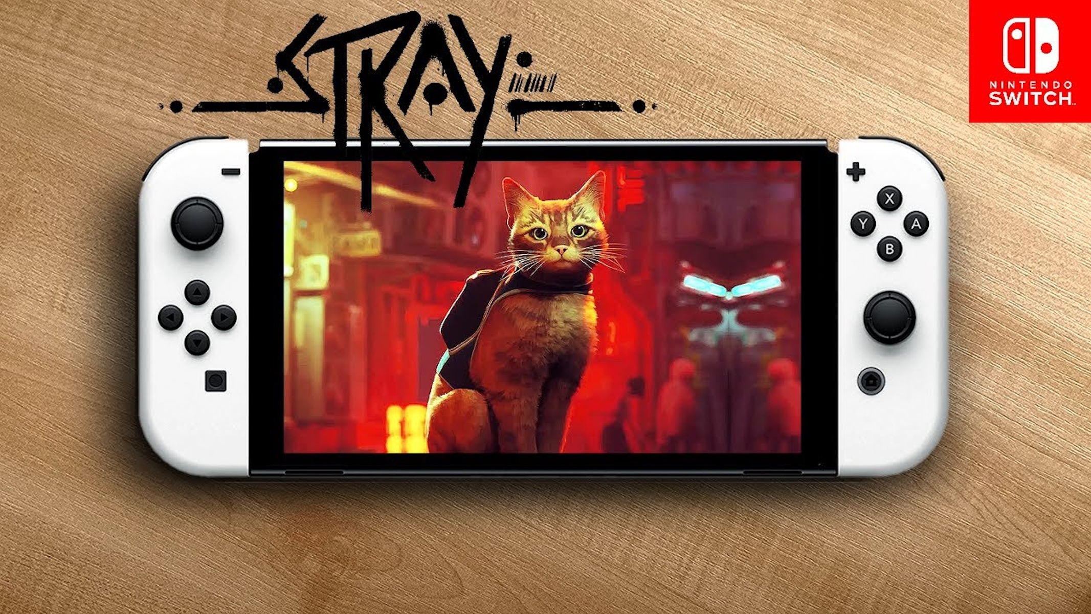 Stray Nintendo Switch