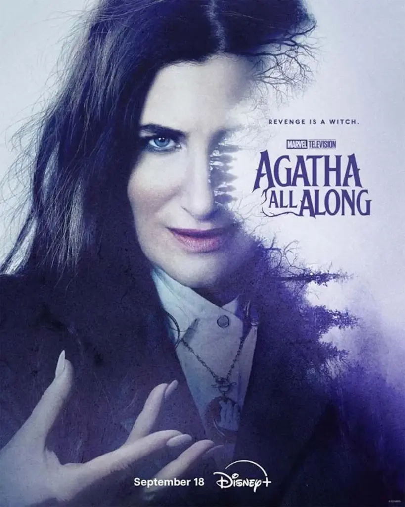 Poster ufficiale Agatha All Along