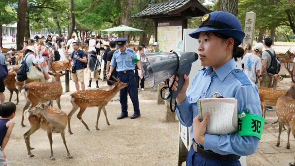 Le autorità di Nara autorizzate a usare megafoni per ricordare alle persone di non toccare i cervi