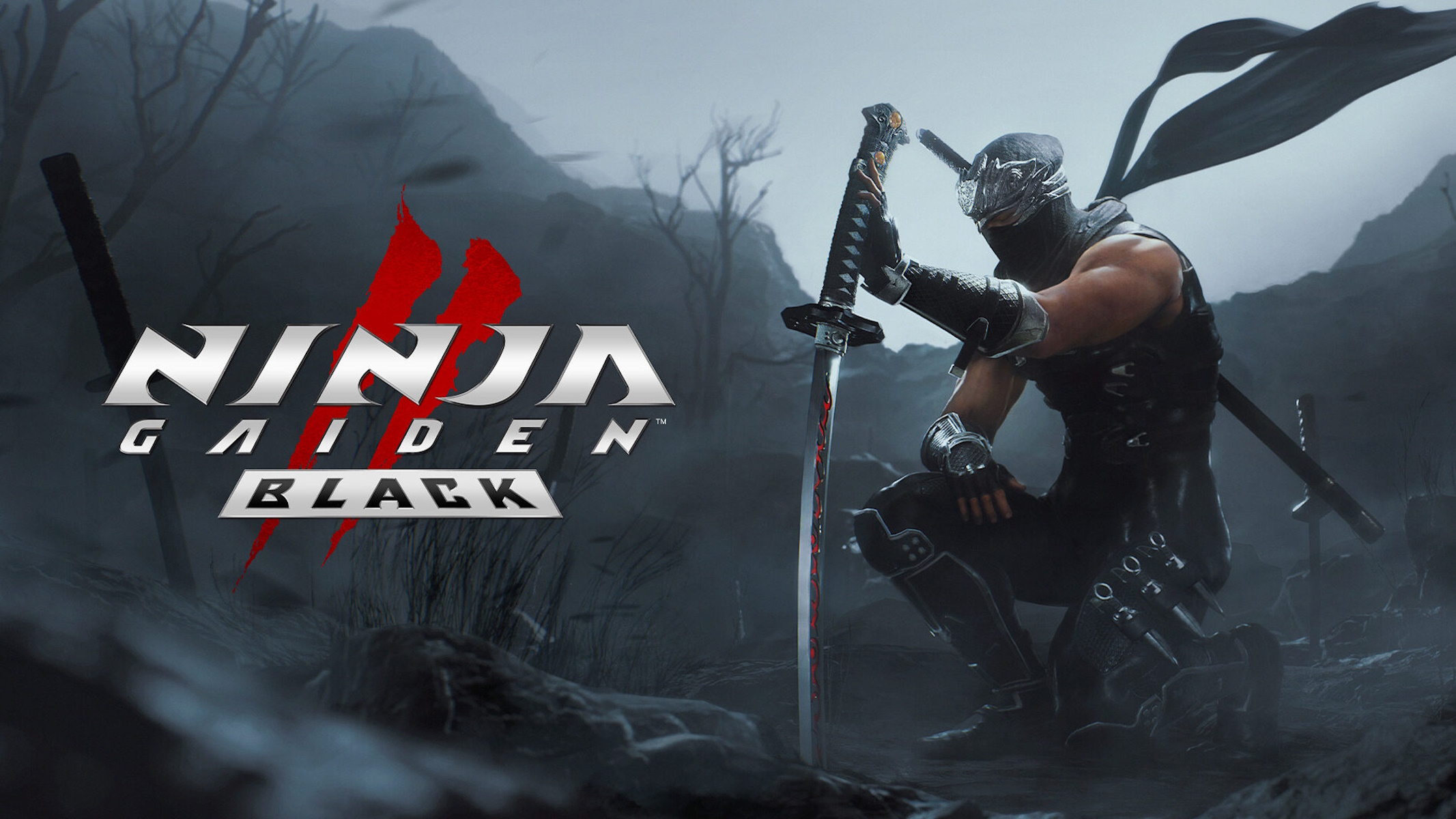 copertina Ninja Gaiden 2 Black Remake