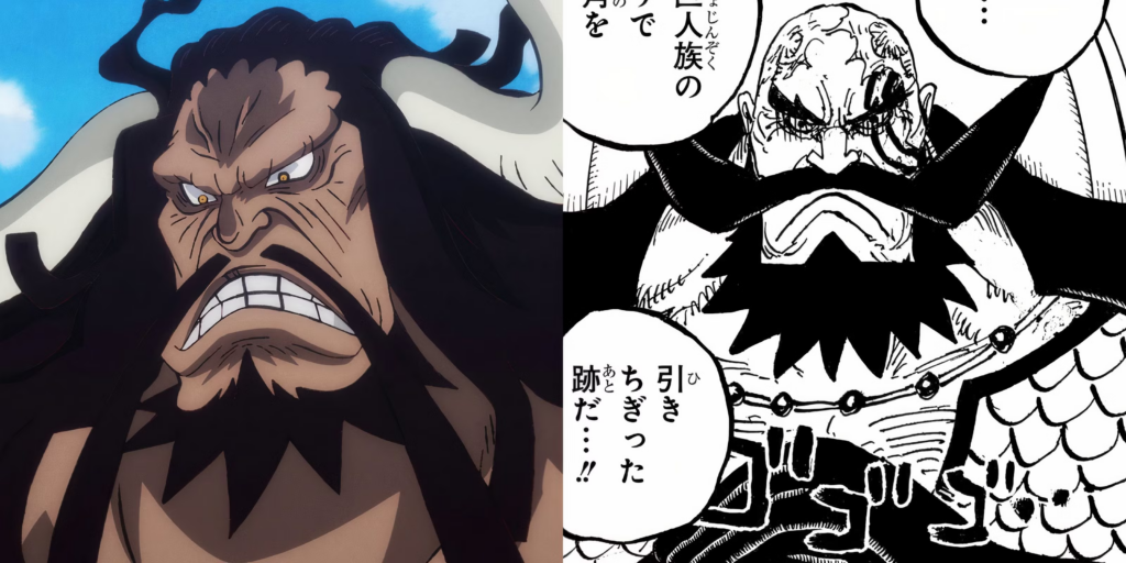 La somiglianza tra Kaido e Re Harald di One Piece