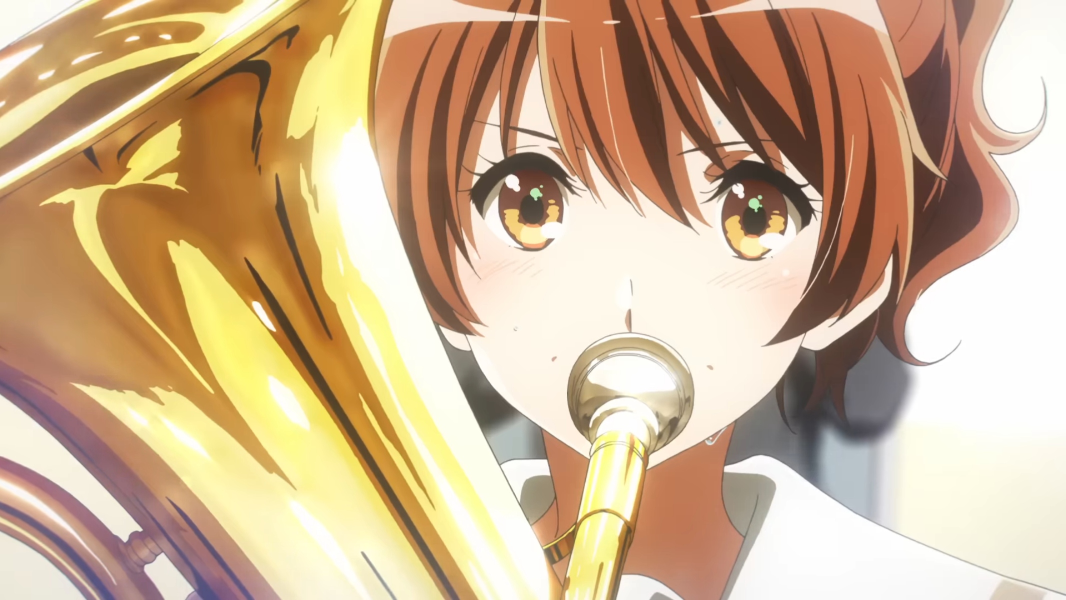 Sound! Euphonium